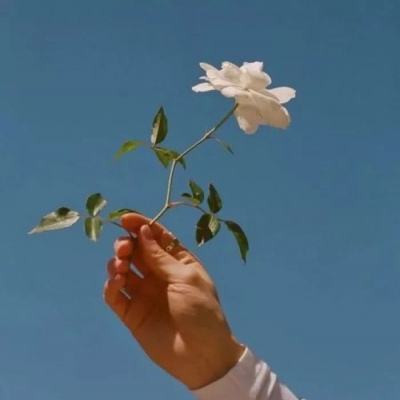 9960彩娱乐安装正版最新版v3.3.7.9截图3